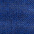 HT0019 var.419